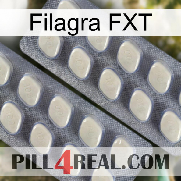 Filagra FXT 07.jpg